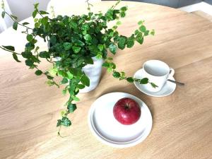 科沃拉的住宿－Apartment Rauha，盘子上带杯的桌子和苹果