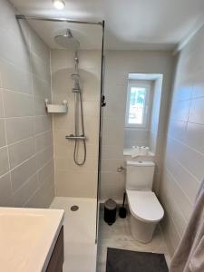 ein Bad mit einer Dusche, einem WC und einem Waschbecken in der Unterkunft Studio Neuf CentreVille Climatisé #14 in Toulon