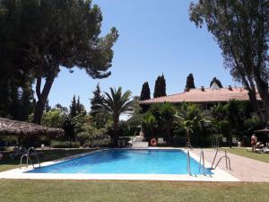 Basen w obiekcie Puerto Banus Apartment near beachfront, big sunny terrace, pool, tennis court, parking & movies projector lub w pobliżu