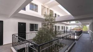un pasillo de un edificio con una planta en Hotel Posada San Esteban, en San Luis Potosí 9 fotos más