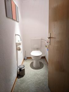 a bathroom with a white toilet in a room at Monkey Factory - Mini Home-Stay Hostel in Traben-Trarbach