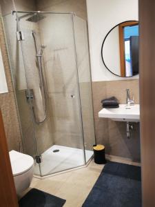 een badkamer met een douche, een toilet en een wastafel bij Jack's Apartment in Werfenweng