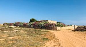 Gallery image of Dammuso Villa in Lampedusa