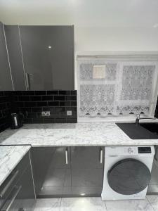a kitchen with a counter with a sink and a dishwasher at T Lodge in Abbey Wood