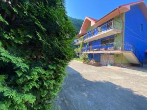 un grand bâtiment avec une grande haie à côté dans l'établissement Casa Aura, à Băile Herculane