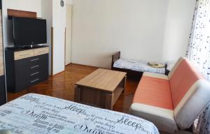 un soggiorno con divano e TV di Plitvice Apartment a Laghi di Plitvice