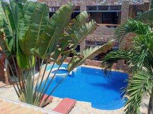 a swimming pool with palm trees next to a building at B&B Girassol in Jericoacoara