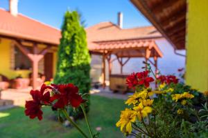 - un jardin avec un kiosque et des fleurs dans la cour dans l'établissement Etelka Vendégház Mórahalom, à Mórahalom
