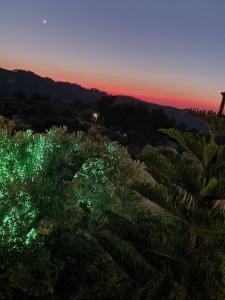 Φωτογραφία από το άλμπουμ του SPITIKARIOTIKO My Ikarian home στις Ράχες