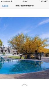 una foto di una piscina con un albero di APART CLUB San Pedro Río Naturaleza y Relax a San Pedro