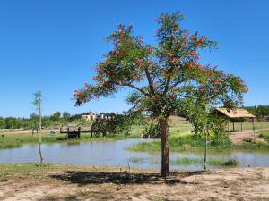 Ein Baum mit roten Beeren an einem Fluss in der Unterkunft APART CLUB San Pedro Río Naturaleza y Relax in San Pedro