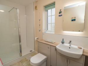 une salle de bain avec un lavabo, une douche et des toilettes dans l'établissement Richmond Cottage, à Malton 9 autres photos