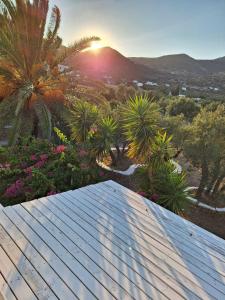 a roof of a house with palm trees and the sunset at Elisso Villas in Platis Gialos