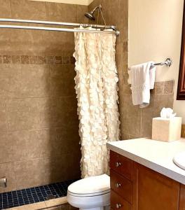a bathroom with a toilet and a shower curtain at BCC Country Club in Bradenton