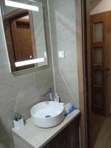 a bathroom with a white sink and a mirror at Eva apartment in Štip