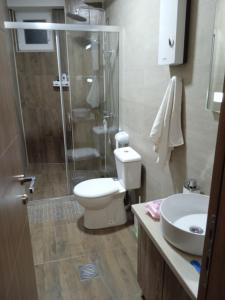 a bathroom with a toilet and a shower and a sink at Eva apartment in Štip