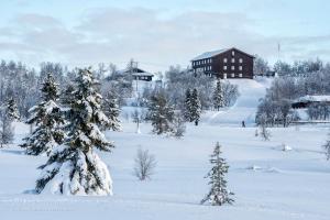 un campo cubierto de nieve con árboles y un edificio en Venabu Fjellhotell en Venabygd