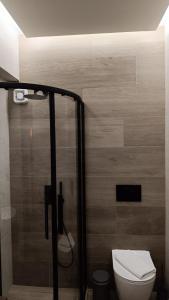 ein Bad mit einem WC und einer Duschkabine in der Unterkunft Vallia Suites-Green Luxury Suite A3 in Nafpaktos