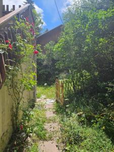 a garden path with a fence and flowers at Studio à 100 mètres du départ des pistes de ski in La Salle Les Alpes