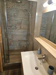 a bathroom with a shower and a sink and a mirror at Studio à 100 mètres du départ des pistes de ski in La Salle-les-Alpes