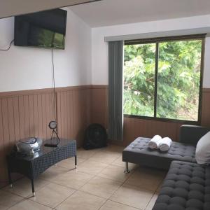 ein Wohnzimmer mit einem Sofa und einem großen Fenster in der Unterkunft Loft Near Airport, in Alajuela dowtown in Alajuela