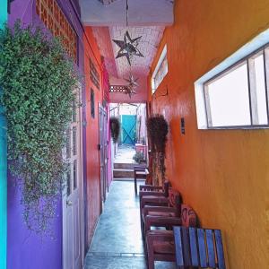 a hallway with a row of benches in a building at Riad Lola in Sayulita