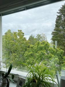 uma janela com uma planta num quarto com árvores em Cozy apartment with free parking em Espoo