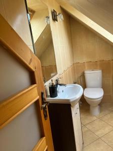 a small bathroom with a toilet and a sink at Zielkowa Ostoja in Niesiołowice +14 photos