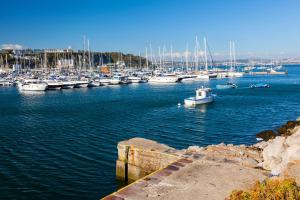 a harbor filled with lots of boats in the water at Brixham Cottage with views in Brixham