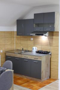 eine Küche mit einer Spüle und einer Arbeitsplatte in der Unterkunft Studio Petra in Sokobanja