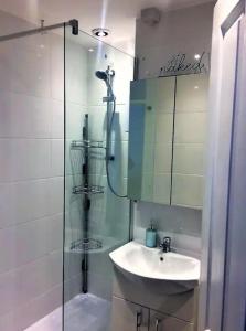 a bathroom with a glass shower and a sink at Springer Villa, 2 bed, Newquay in Newquay