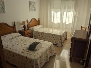 a bedroom with two beds and a dresser with a bag on it at Alicia Bis in Sanxenxo