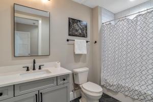 a bathroom with a toilet and a sink and a mirror at Exceptional Downtown Condo in Asheville