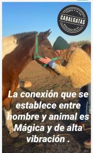 a poster for a magazine with a picture of a horse at Casa de campo in Mercedes