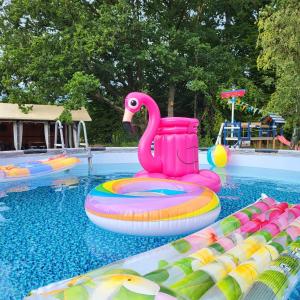 einen Pool mit einem rosa Flamingo im Wasser in der Unterkunft Dzika Plaża Stilo in Sasino