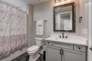 a bathroom with a toilet and a sink and a mirror at Fabulous Downtown 2 bedroom Condo in Asheville