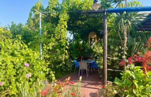 A garden outside Nitsa's Apartments