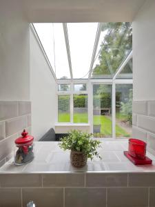 een kamer met een raam en een plant op een toonbank bij Tully's Home, Tulfarris Village, Wicklow in Blessington