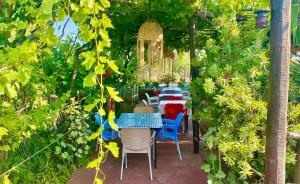 A garden outside Nitsa's Apartments
