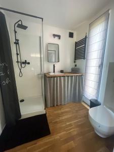 a bathroom with a shower and a toilet at kontener nad rzeką 