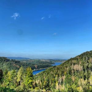 - une vue sur un lac au milieu d'une forêt dans l'établissement Harzpur Lodge - Pure Entspannung in purer Natur, à Hahnenklee