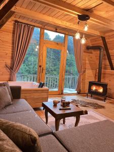 a living room with a couch and a fireplace at Çukur Vadi Evleri in Ardeşen