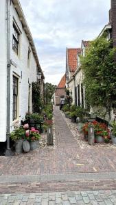 a cobblestone street in a town with flowers in pots at Tiny House Old Oaks in Hulshorst