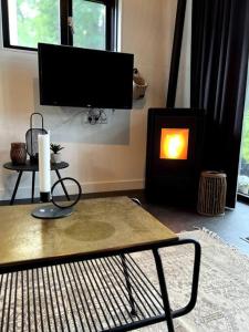 sala de estar con TV y chimenea en Tiny House Old Oaks en Hulshorst