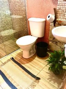 a bathroom with a toilet and a sink at Espaço Ecológico e Hospedagem Terra Betania in São João da Aliança +31 photos