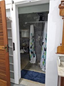y baño con cortina de ducha y lavamanos. en Pousada Pomar de Vassouras en Vassouras