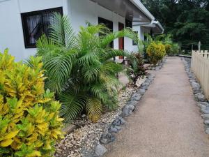 Zahrada ubytování Villa 2 Coral Carrillo