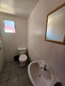 ein Badezimmer mit einem Waschbecken, einem WC und einem Spiegel in der Unterkunft el valle in Copiapó