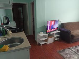 TV a/nebo společenská místnost v ubytování Margo Apart