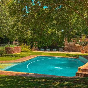a blue swimming pool in a yard with a tree at Horse's Neck Guest Lodge in Johannesburg